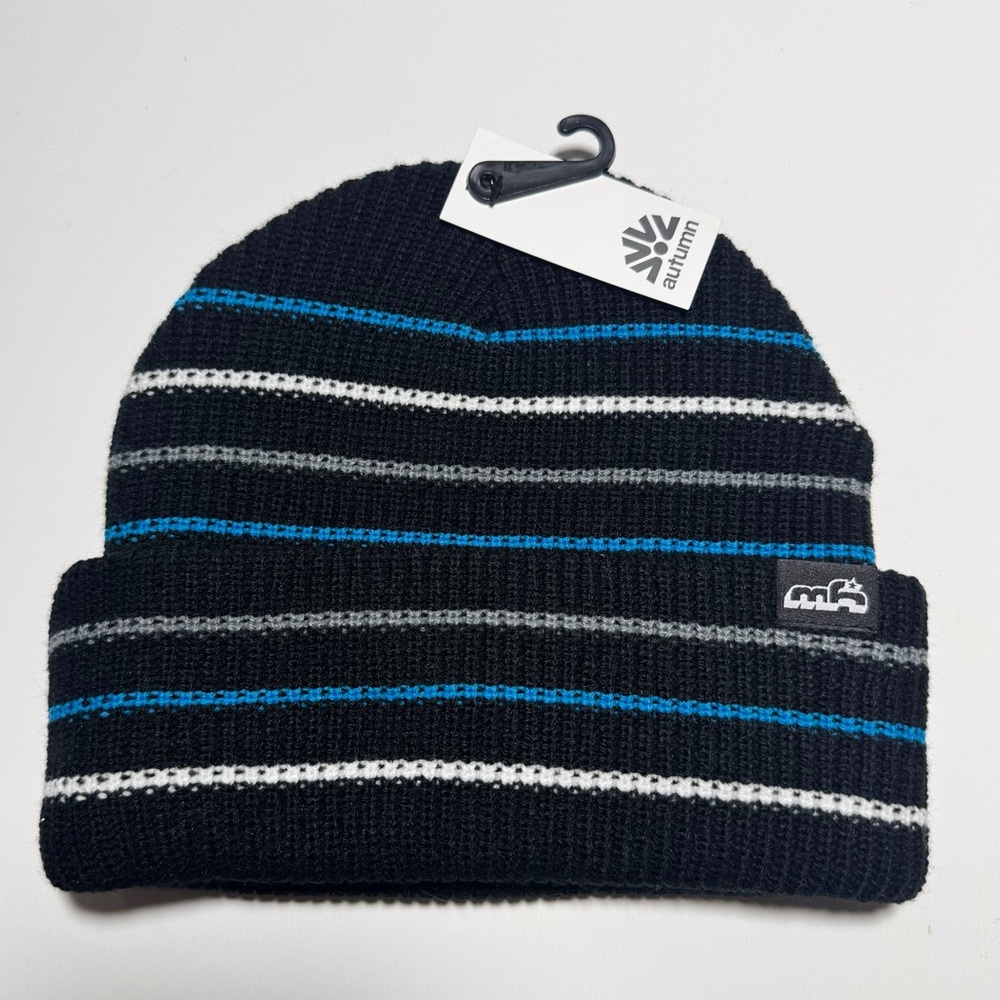 Autumn Stripe Beanie